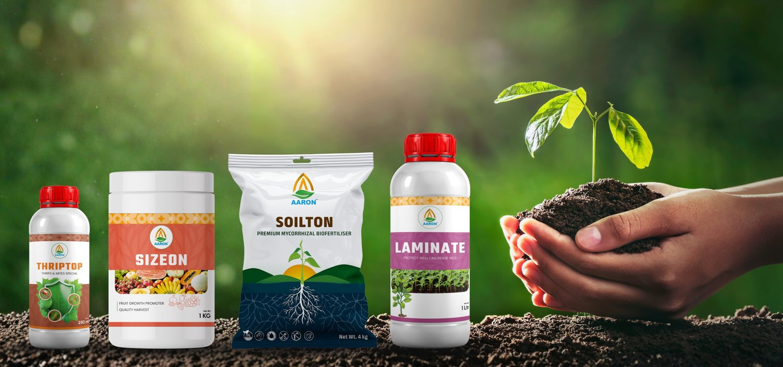 Aaron Banner.jpg (1)